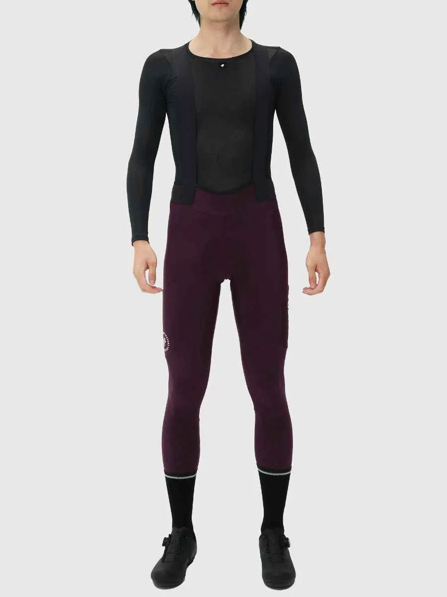 Pro Men's Thermal Fleeced Bib Tights S441 - Purple